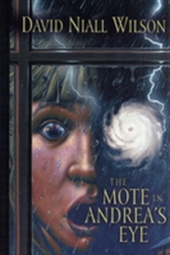 The Mote in Andrea's Eye