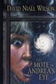 The Mote in Andrea's Eye