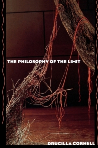 The Philosophy of the Limit