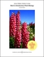 Stern's Introductory Plant Biology