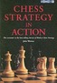 Chess Strategy in Action