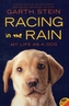 Racing in the Rain