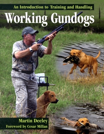 Working Gundogs