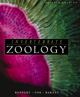 Invertebrate Zoology