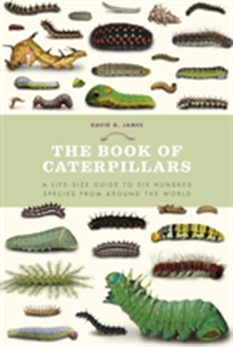 The Book of Caterpillars