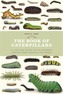 The Book of Caterpillars