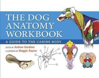 The Dog Anatomy Workbook