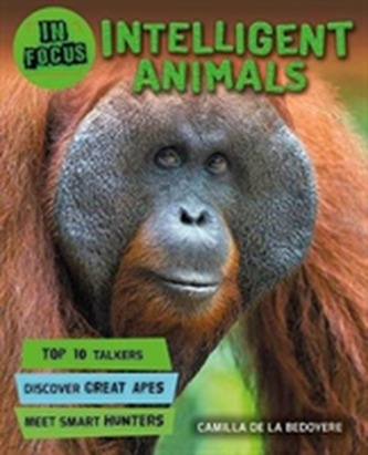 In Focus: Intelligent Animals
