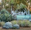 Bold Dry Garden, the