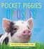 Pocket Piggies: Opposites