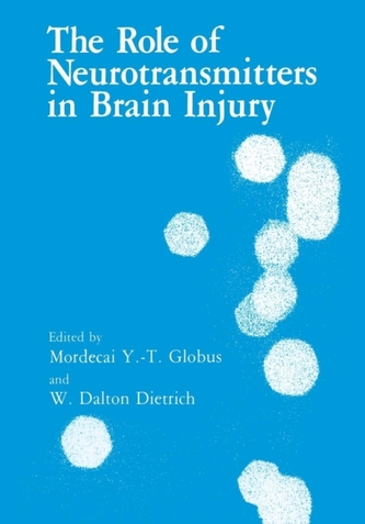 The Role of Neurotransmitters in Brain Injury