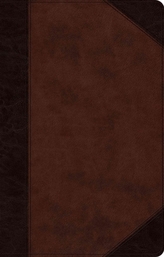 ESV Large Print Thinline Reference Bible