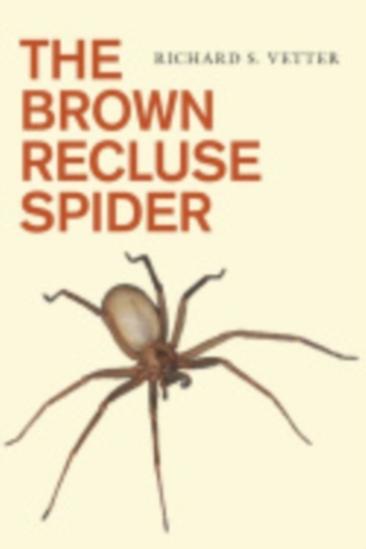 The Brown Recluse Spider