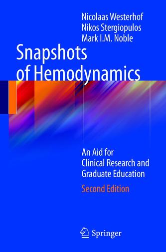 Snapshots of Hemodynamics