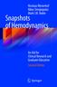 Snapshots of Hemodynamics