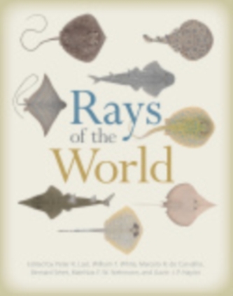 Rays of the World