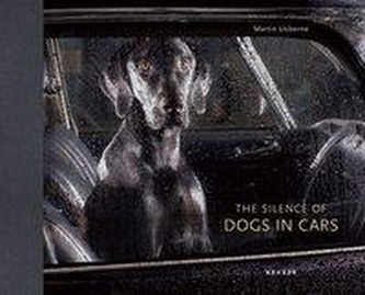 The Silence Of Dogs In Cars