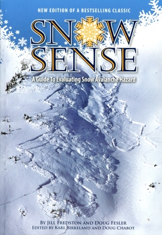 SNOW SENSE