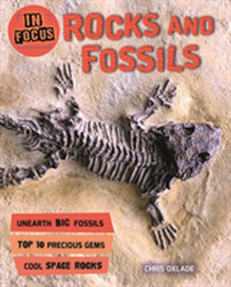 In Focus: Rocks and Fossils