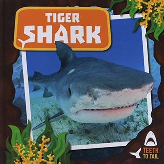 Tiger Shark