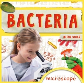 Bacteria
