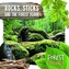 Rocks, Sticks & the Forest Floor