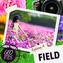 Exploring a Field