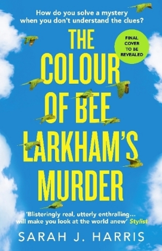 The Colour of Bee Larkham's Murder