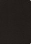 ESV Heirloom Study Bible