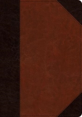 ESV Large Print Wide Margin Bible