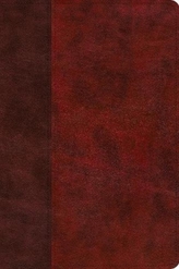 ESV Story of Redemption Bible: A Journey through the Unfolding Promises of God