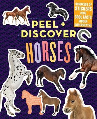 Peel & Discover: Horses