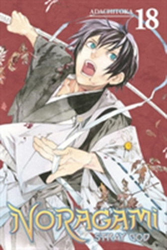 Noragami: Stray God 19