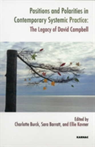 Positions and Polarities in Contemporary Systemic Practice