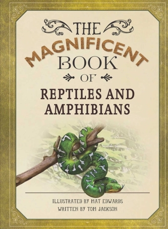 Magnificent Book of Reptiles and Amphibians