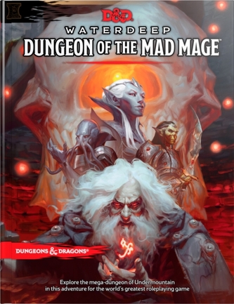 DUNGEON OF THE MAD MAGE DUNGEONS DRAGONS