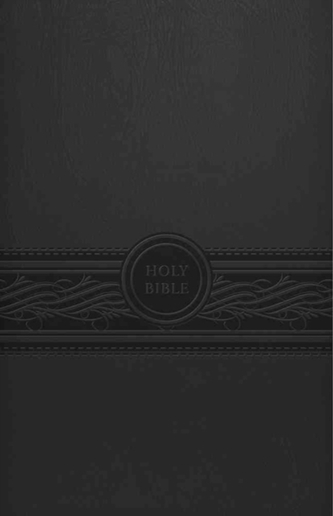 Personal Size Large Print Bible-Mev
