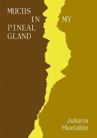 Mucus in My Pineal Gland