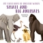 Small and Big Animals