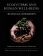 Ecosystems and Human Well-Being: Multiscale Assessments