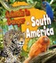 Animals in Danger in South America