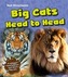 Big Cats Head to Head