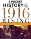 A Pocket History of the 1916 Rising
