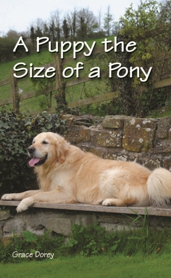 A Puppy the Size of a Pony