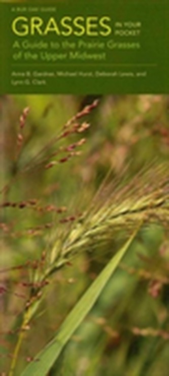 Grasses in Your Pocket