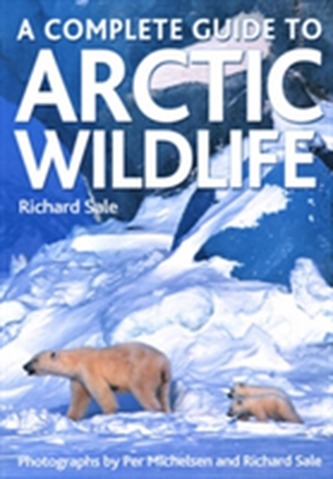 A Complete Guide to Arctic Wildlife