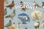 REAL POOP ON PIGEONS