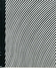 Bridget Riley