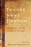 Trioedd Ynys Prydein