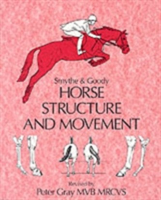 Horse Structure and Movement